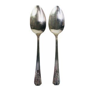 2 Tablespoon Serving Spoon Wm A Rogers Oneida Sectional Lido Pattern Silverplate